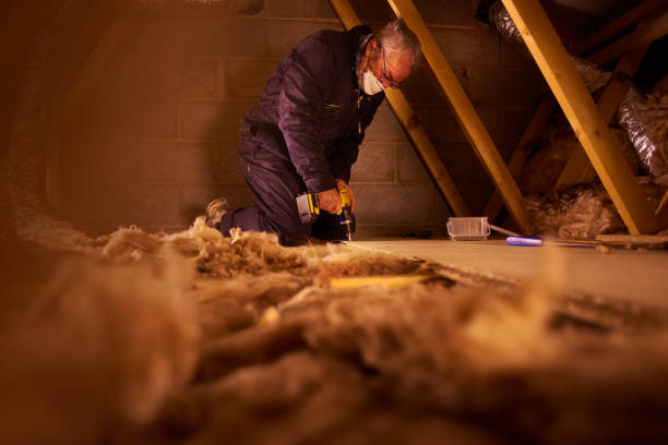 Best Residential Insulation in Warren Af, WY